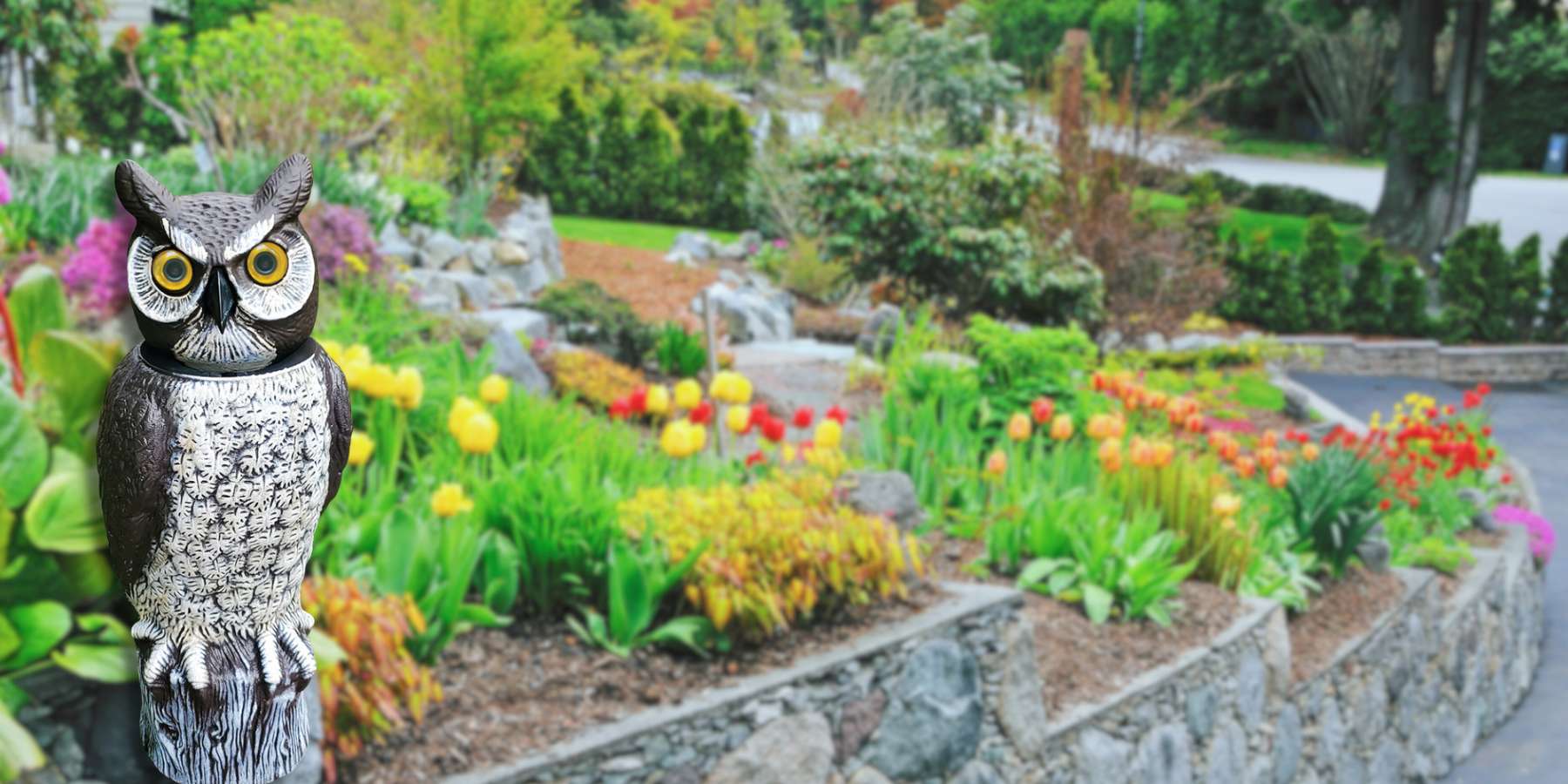 Cultivate Your Perfect Outdoor Oasis